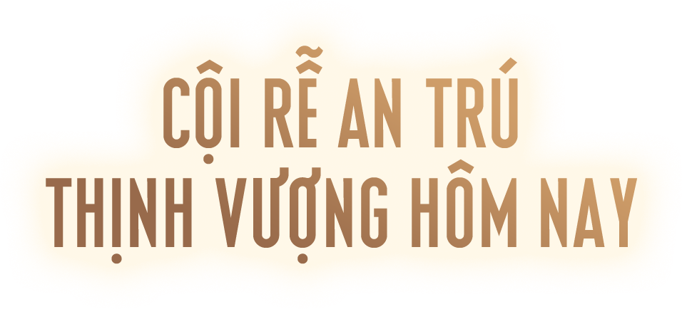 Cội rễ an tr&uacute;, thịnh vượng h&ocirc;m nay